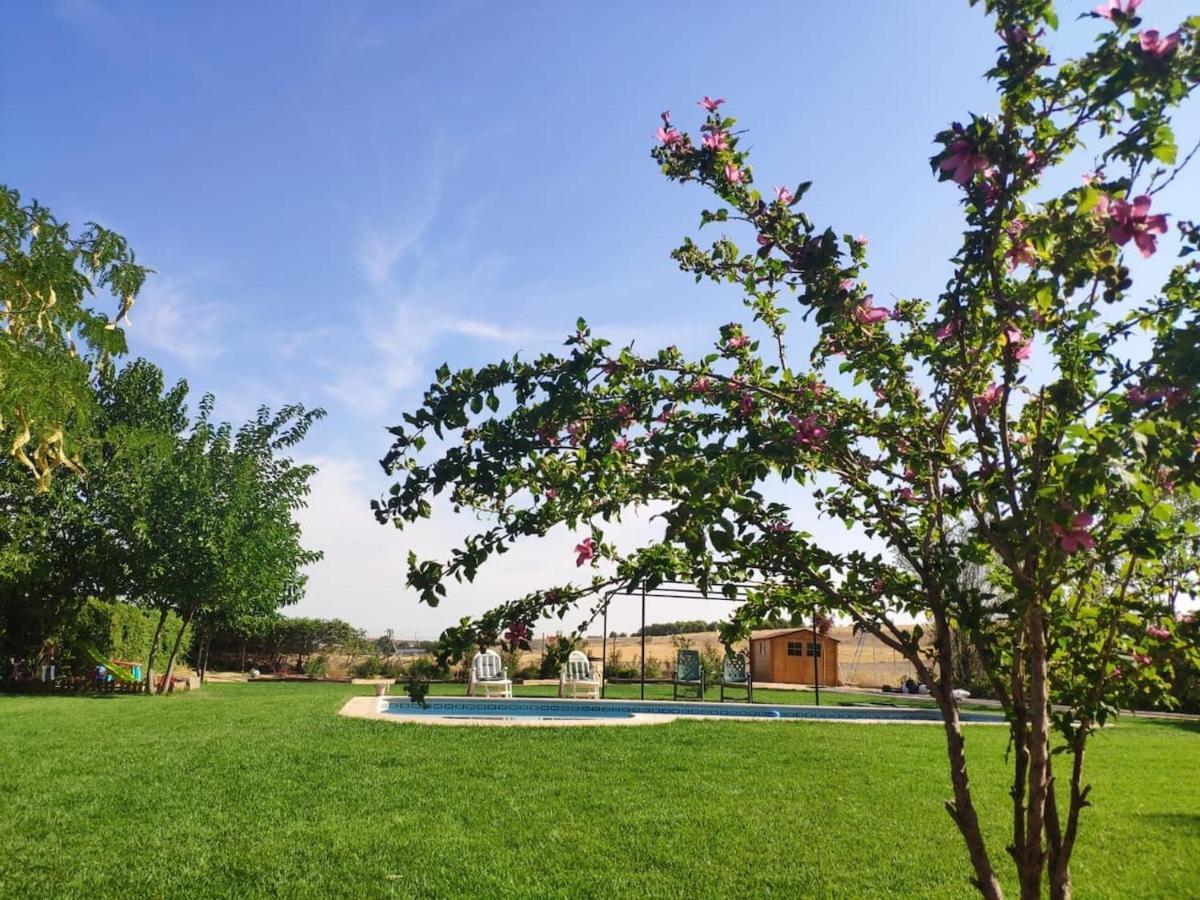 Villa Paredes Valdetorres de Jarama Esterno foto