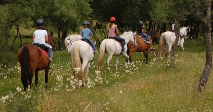 Villa Paredes Valdetorres de Jarama Esterno foto